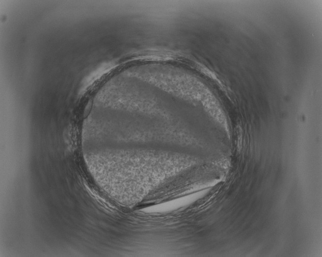 X0000081411448200702021550