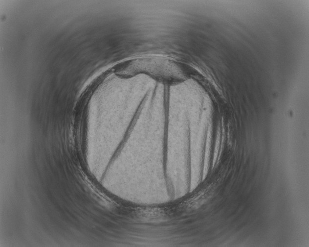 X0000081411452200702021550
