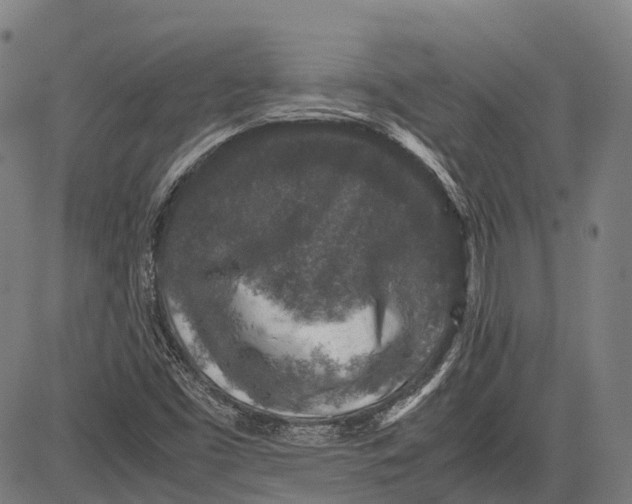 X0000081411453200702021550