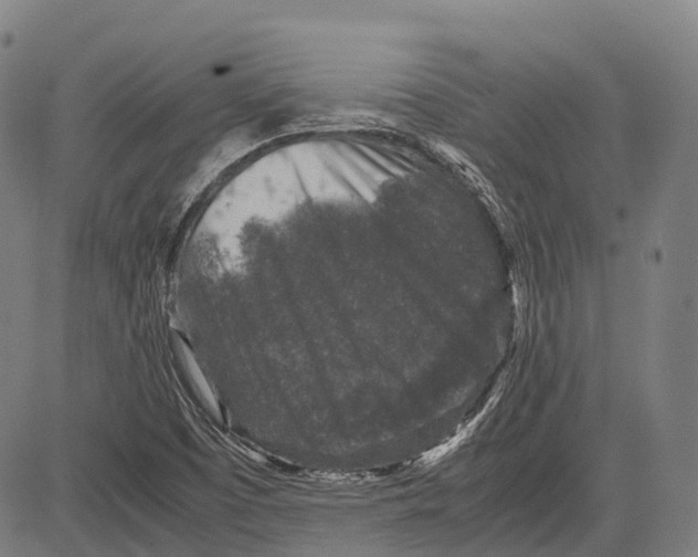 X0000081411457200702021550
