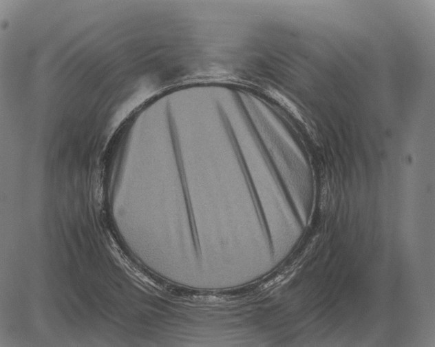 X0000081411458200702021550