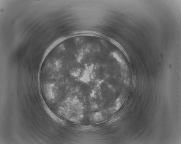 X0000081411482200702021550