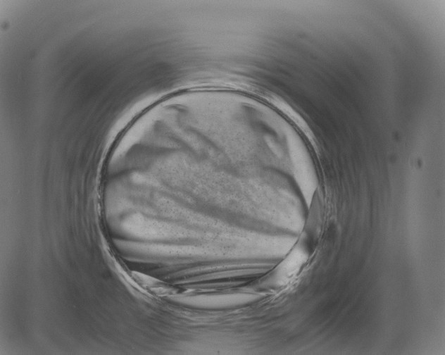 X0000081411485200702021550