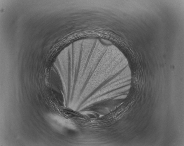 X0000081411490200702021549
