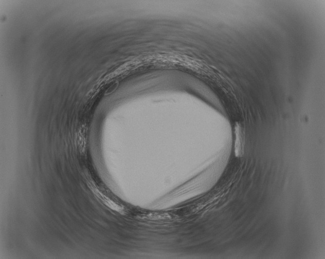 X0000081411491200702021549