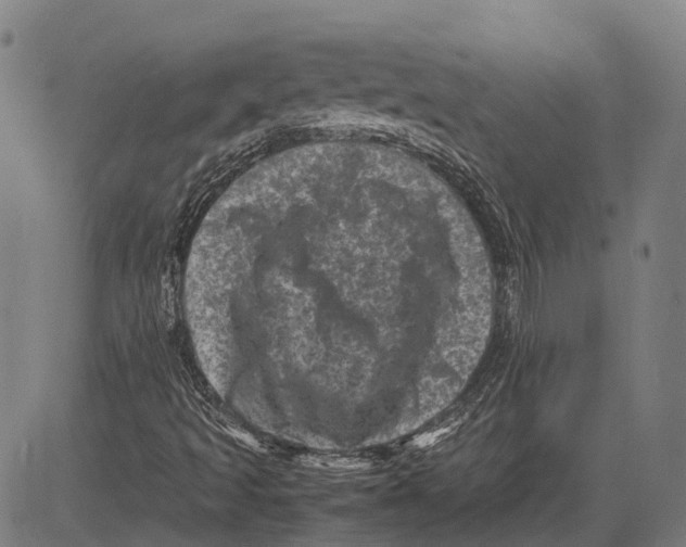 X0000081411493200702021549
