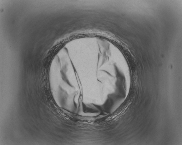 X0000081411494200702021549