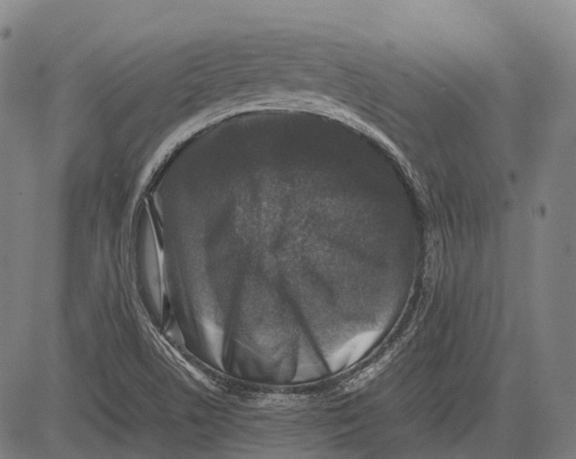 X0000081411506200702021549