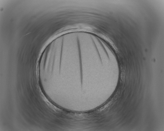 X0000081411516200702021549