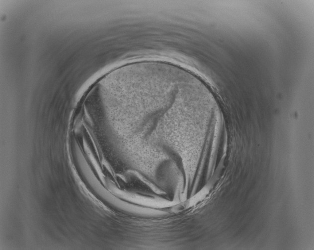 X0000081411518200702021549