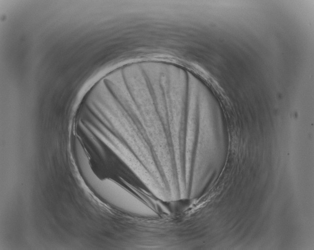 X0000081411520200702021549