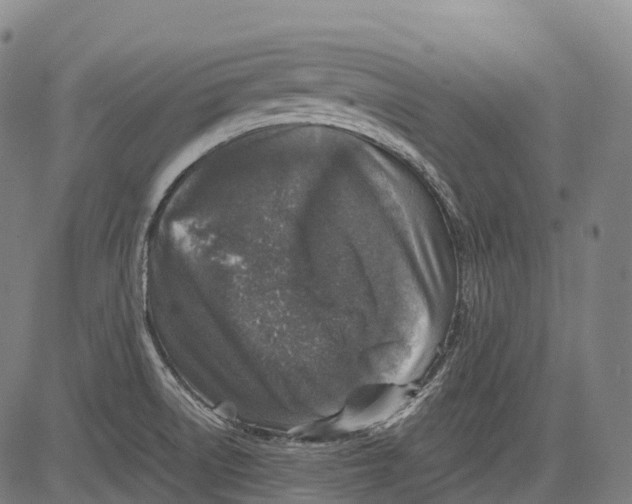 X0000081411522200702021550