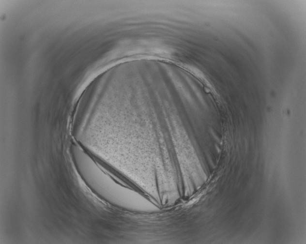 X0000081411524200702021550