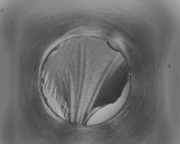 X0000081411528200702021550