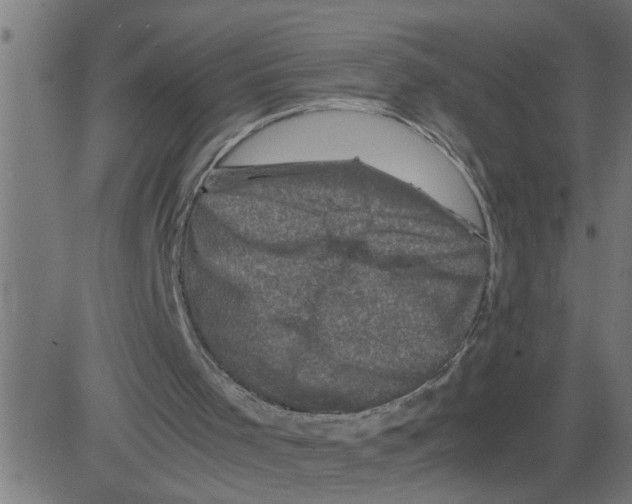 X0000081410001200702092120