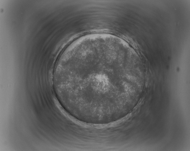 X0000081410002200702092120