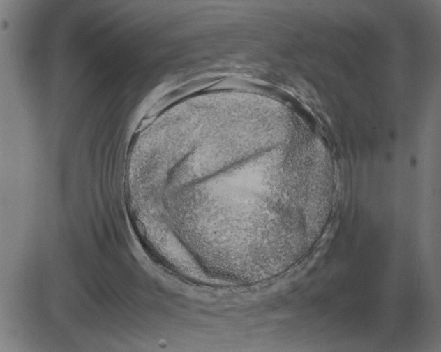 X0000081410003200702092120