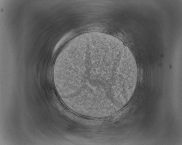 X0000081410004200702092120