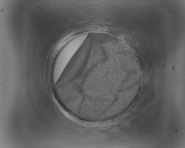 X0000081410005200702092120