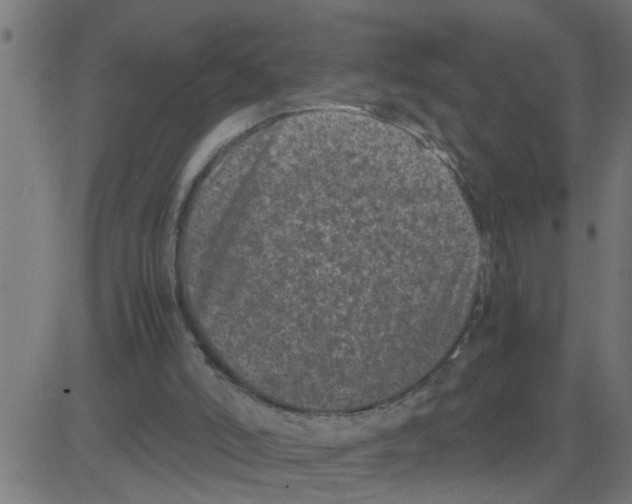 X0000081410006200702092120