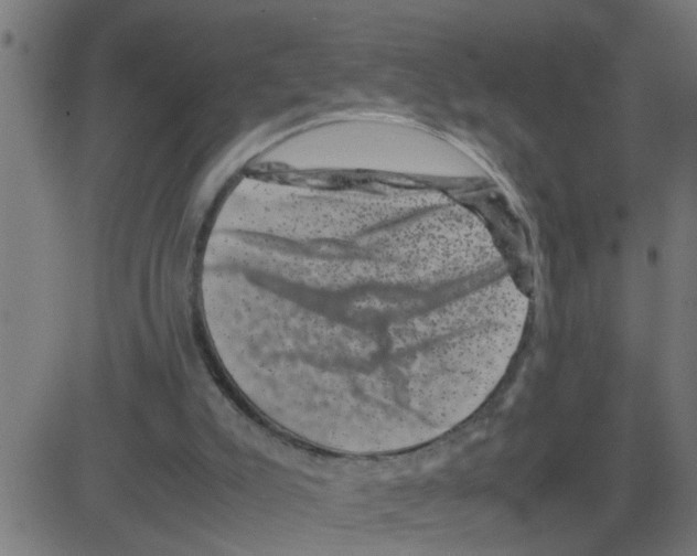 X0000081410007200702092120