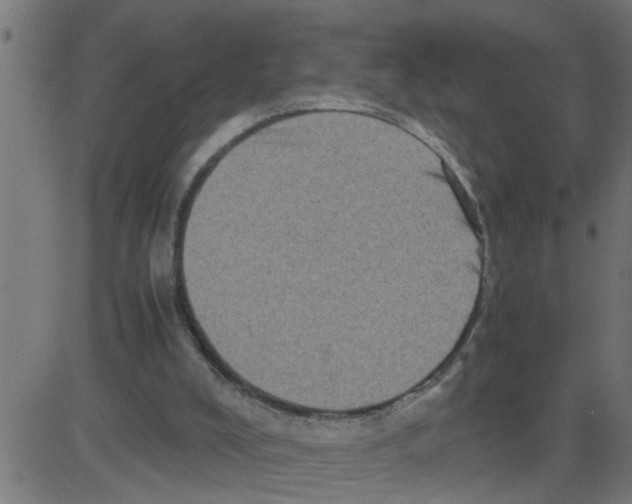 X0000081410008200702092120