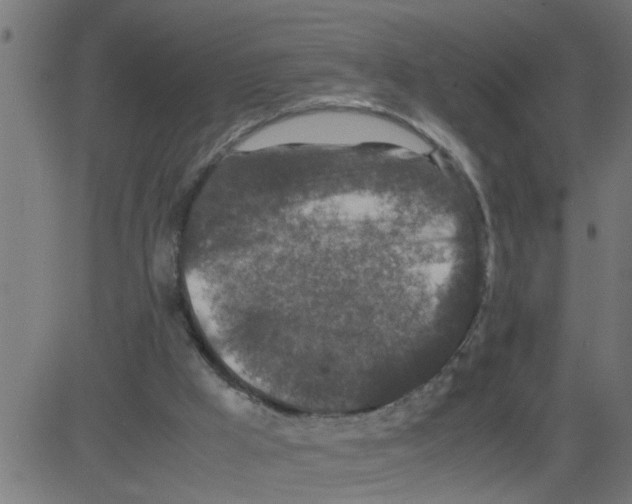 X0000081410009200702092120