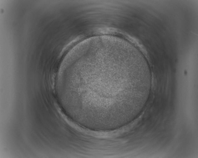 X0000081410010200702092120