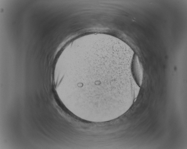 X0000081410011200702092120