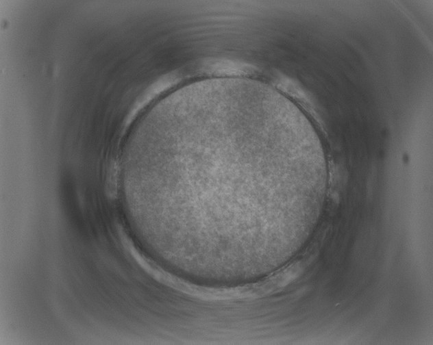 X0000081410012200702092120