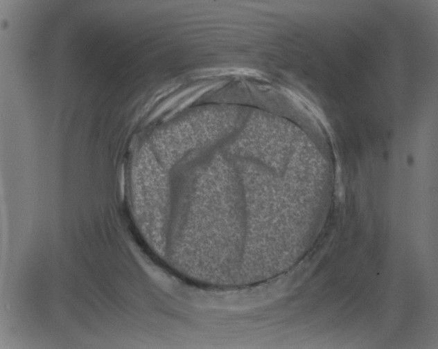 X0000081410013200702092120