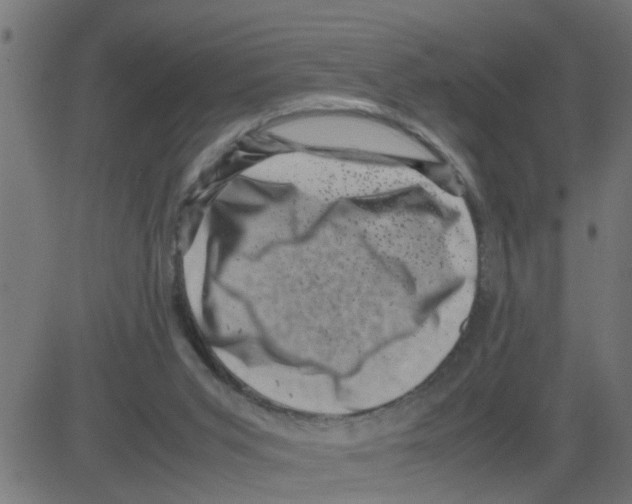 X0000081410015200702092120