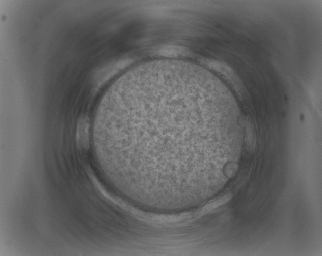 X0000081410016200702092120