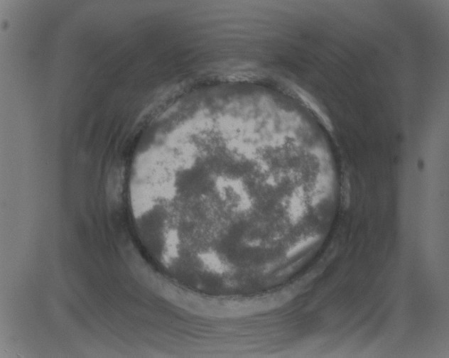 X0000081410018200702092120