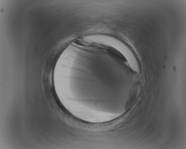 X0000081410019200702092120