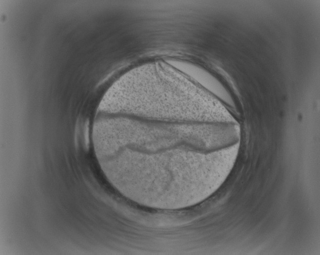 X0000081410020200702092120