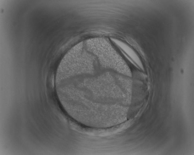 X0000081410021200702092120