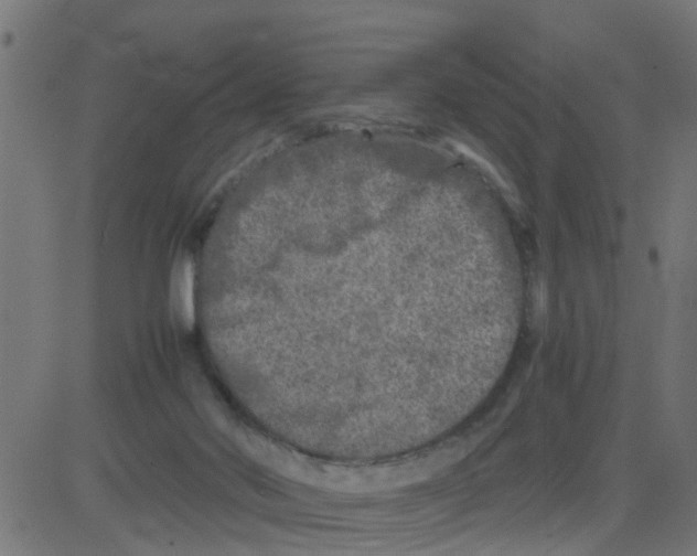 X0000081410022200702092120