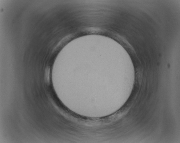 X0000081410024200702092120