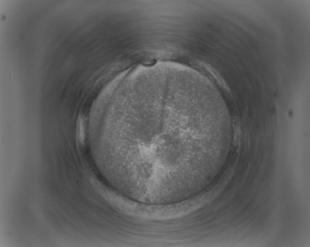 X0000081410026200702092120