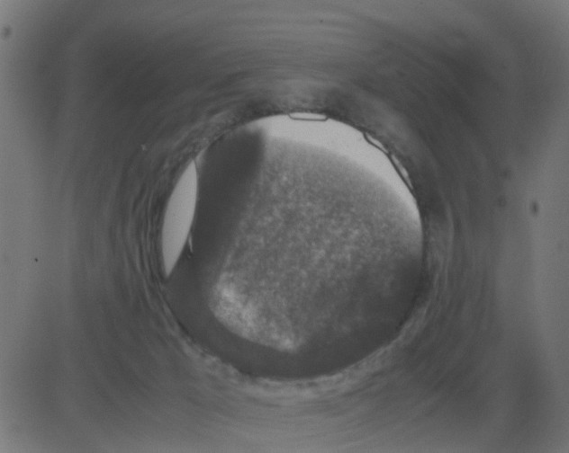 X0000081410029200702092120