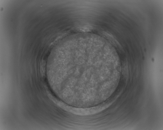 X0000081410030200702092120