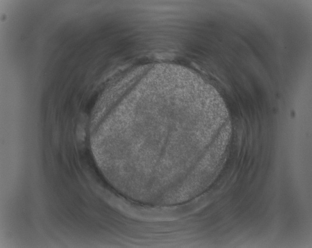 X0000081410032200702092120