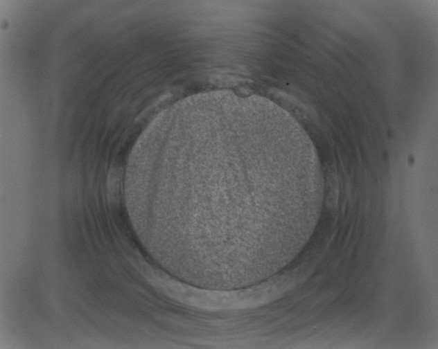 X0000081410034200702092120