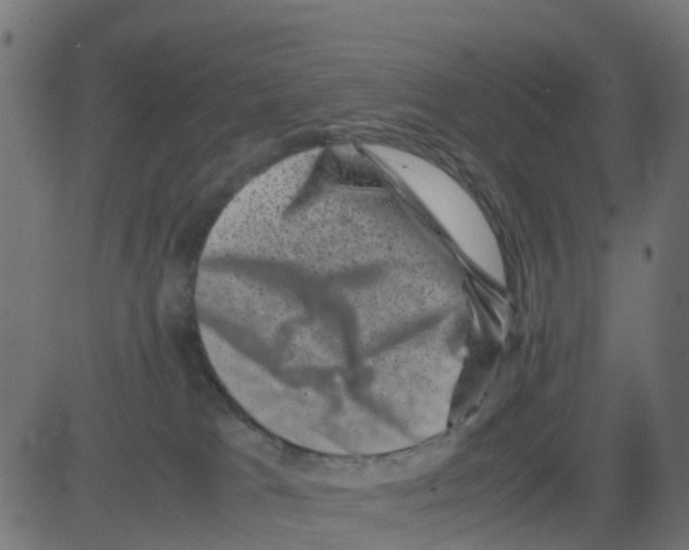 X0000081410037200702092120