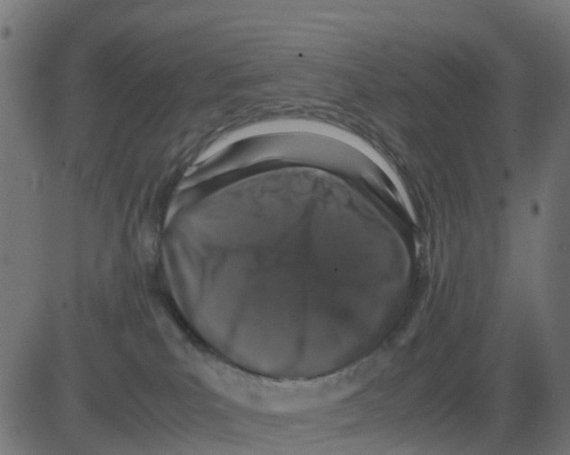 X0000081410039200702092120