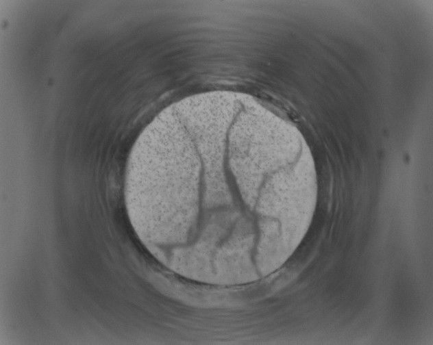 X0000081410040200702092120