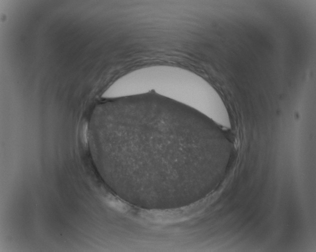 X0000081410041200702092120