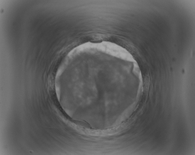 X0000081410043200702092120