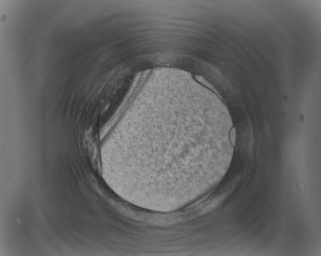 X0000081410044200702092120